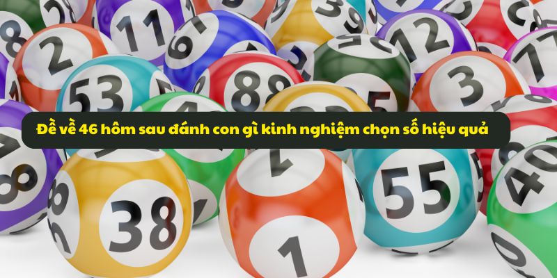 Đề Về 46 Hôm Sau Đánh Con Gì? Tổng Hợp Kinh Nghiệm 2026 7 Đề về 46 hôm sau đánh con gì kinh nghiệm chọn số hiệu quả