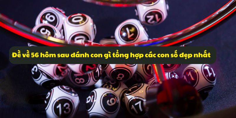 Đề Về 56 Hôm Sau Đánh Con Gì? Tổng Hợp Thống Kê Mới Nhất 7 Đề về 56 hôm sau đánh con gì tổng hợp các con số đẹp nhất